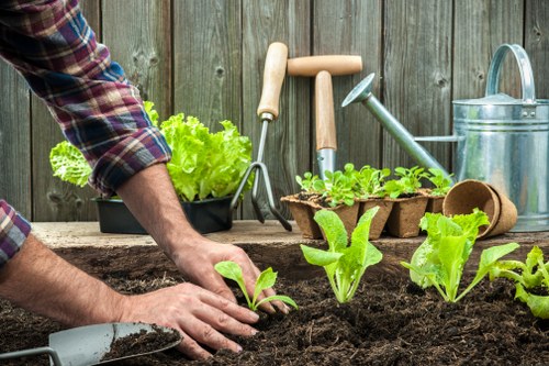 Woodchip and timber reuse supporting local recycling efforts