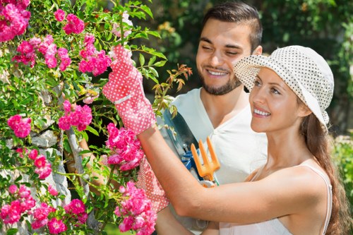 Green waste, branches, and timber prepared for responsible disposal