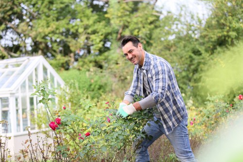 Supplier audit process for a Hackney tree surgery business