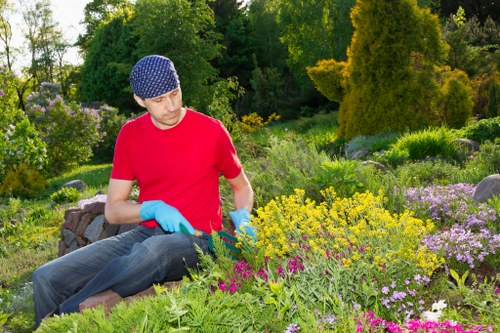 Experienced tree surgeon in Hackney focused on urban arboriculture