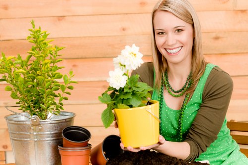Summary of cookie categories used by Tree Surgeons Hackney