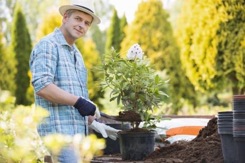 Clear pricing and quotes for tree surgery in Hackney