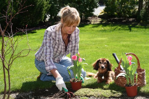 Final review of tree surgery terms and lawful service arrangements